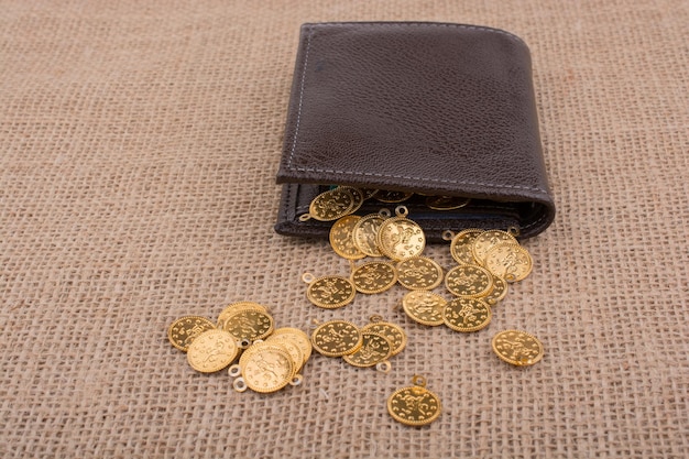 Wallet and fake gold coins on canvas