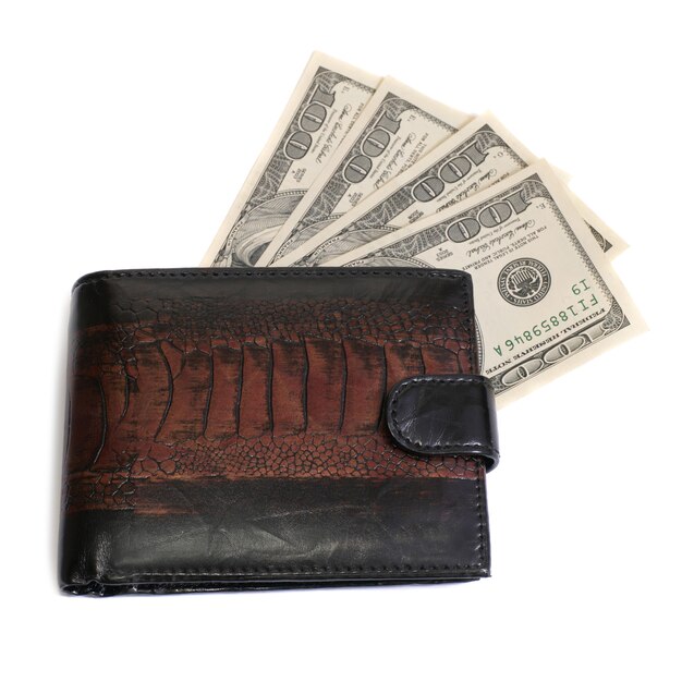 Wallet with money dollars isolated