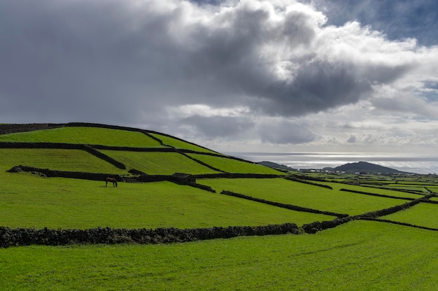 Wallpaper landscape green fields and clouds Terceira island Azores