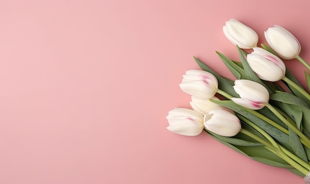 Wallpaper with tulips Flower on pink background For banner postcard book illustration products display presentation Created with generative AI tools