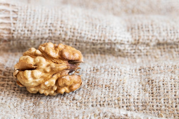 The walnut fruit lies on the burlap. hazelnut. High quality photo