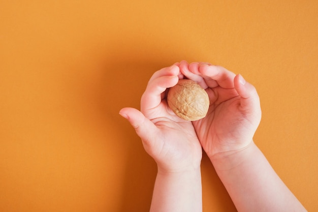 Walnut in shell in children's palms on a brown background copy space top view