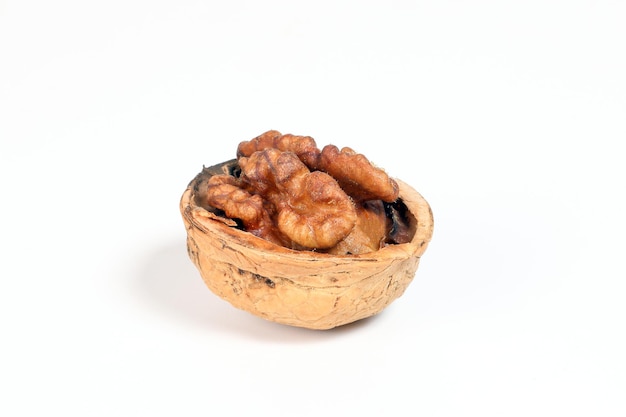 Walnut in shell