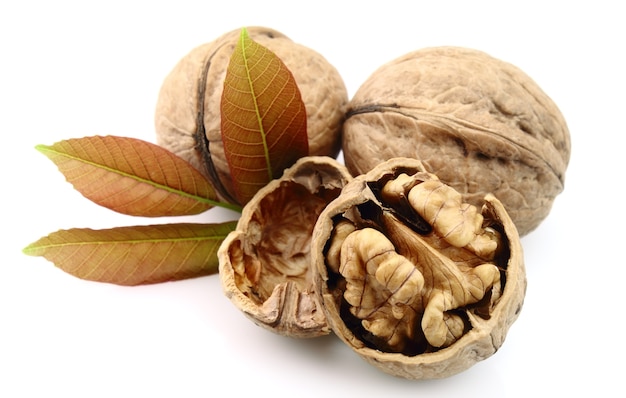 Walnut t with leaf isolated on white