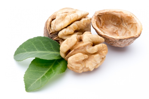 Walnut and walnut kernel isolated on the white background.