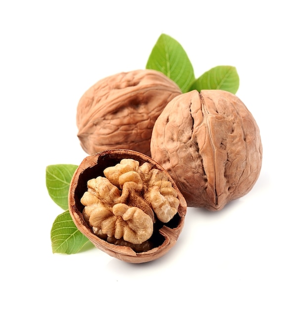 Walnut with leaves isolated.