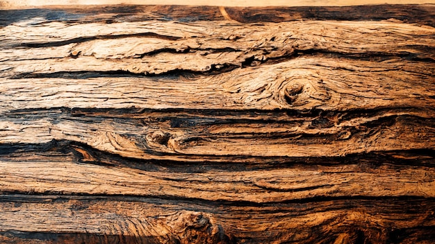 Walnut wood abstract background highly detailed texture surface