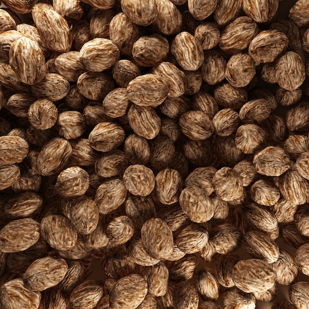 Walnuts background 3d render