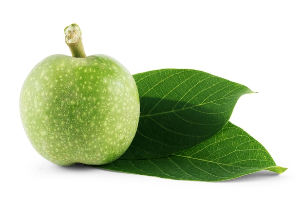 Walnuts fruits green tree branch isolated on a white background