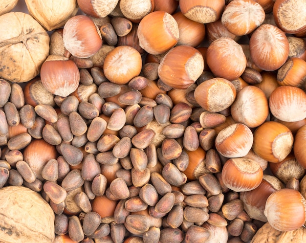 Walnuts and Hazelnuts stacked