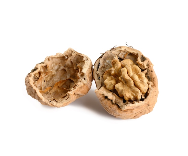 Walnuts isolated on white background, close up