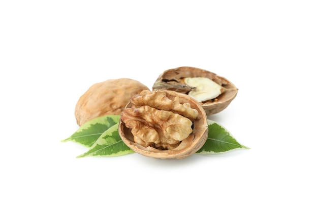 Walnuts isolated on white background, close up