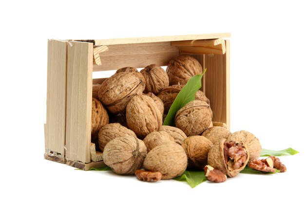 Walnuts with green leaves in woooden crate isolated on white