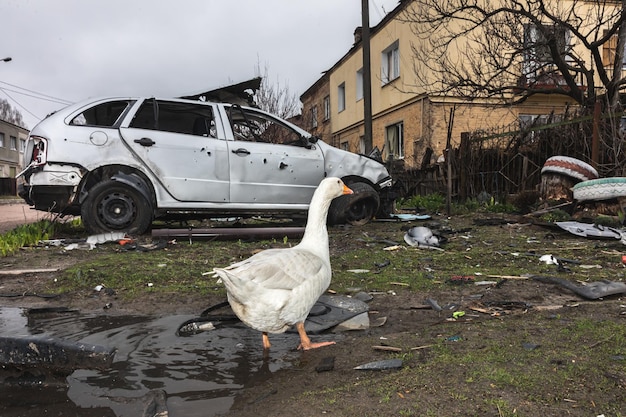 War in Ukraine Yahidne village Chernihiv region