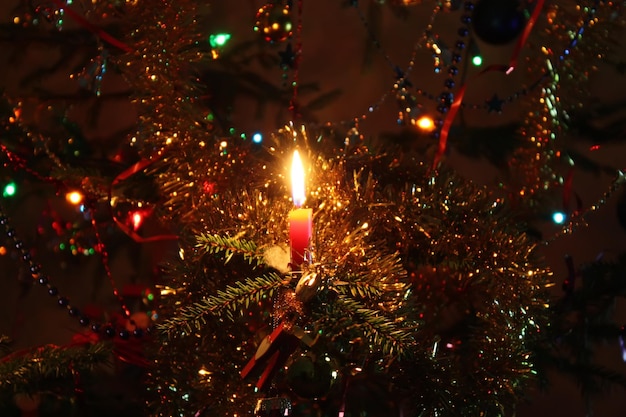 Warm light of burning colorful candle flame on christmas tree background