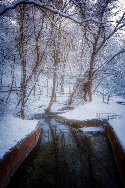 Warm stream in the winter forest in frosty weather