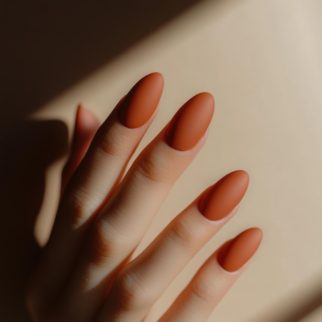 Photo warm terracotta nails with a matte finish