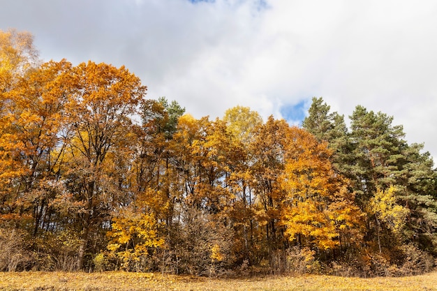 Warm weather in the Park in the autumn season, real autumn in the daytime