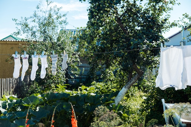 Washed clothes on clotheslines are dried in the village on a sunny day in summer