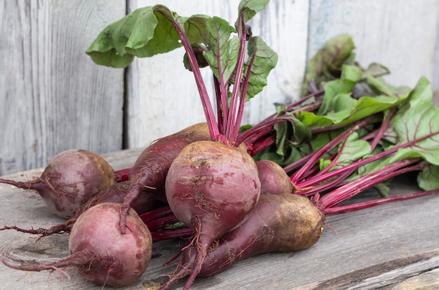 Washed red beetroot on a wooden background in natural light