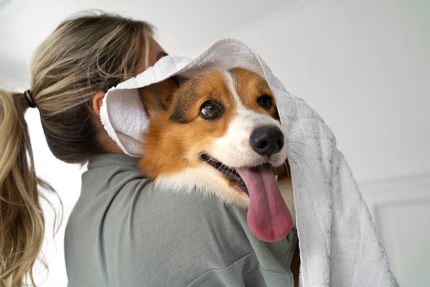 Washing pet dog at home