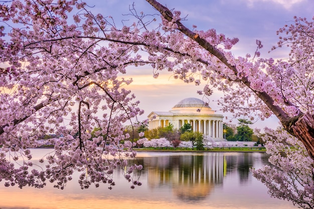 Washington DC USA at the Jefferson Memorial