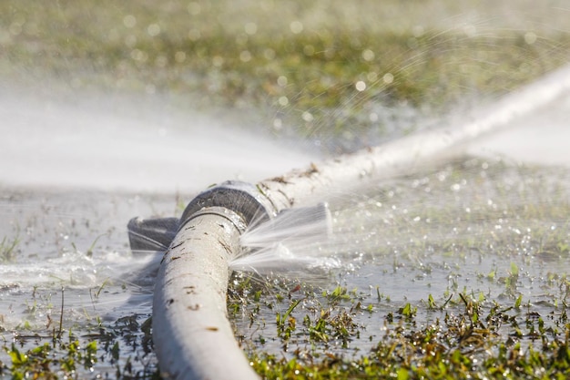 Wasting water water leaking from hole in a hose