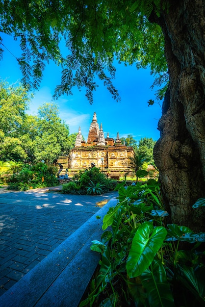 Wat Chet Yot or Wat Photharam Maha Wihan seven pagoda temple It is a major tourist attraction in Chiang Mai Thailandwith eveningTemple in Chiang Mai