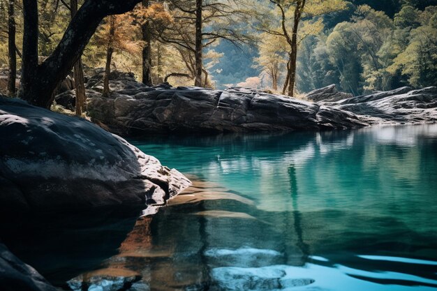 Water Body Surrounded by Trees