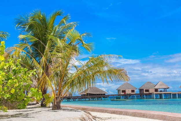 Water Bungalows at tropical island in the Maldives