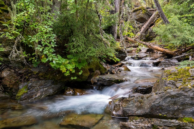 Water cascading down Holland Creek in Montana