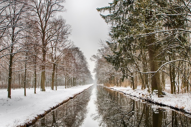 Water channel through snowy forest