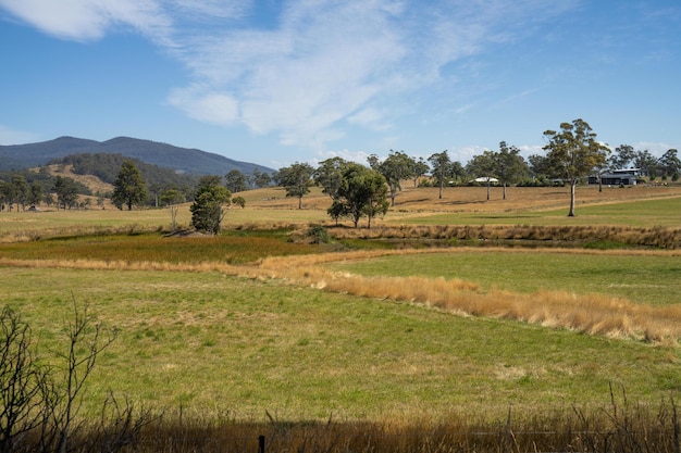 Water dam on a farm in a field surrounded by trees and green grass on a farming landscape