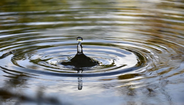 Water Droplet's Impact in Nature's Beauty