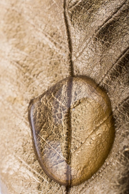 Water drops on a gold color painted leaf