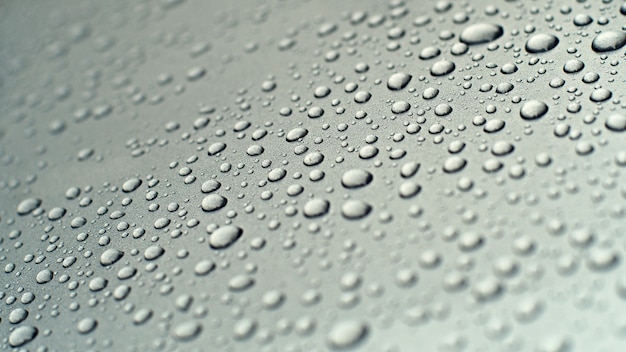 Water drops on gray background