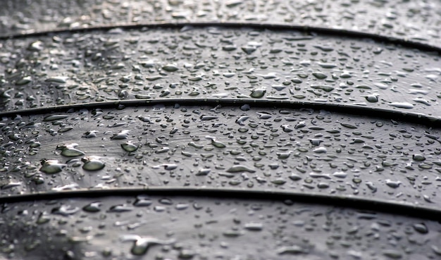 Water drops on a leaf surface in shallow focus