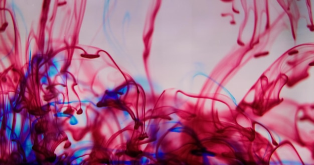 Water dye ink drops defocused red blue color splash trail paint fluid swirl liquid pigment emulsion