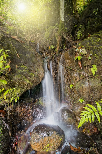 Water fall in tropical  forest  indonesia