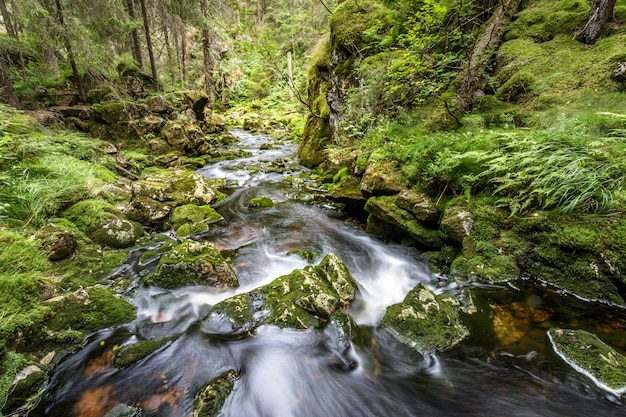 Water flow in a stream, long exposure