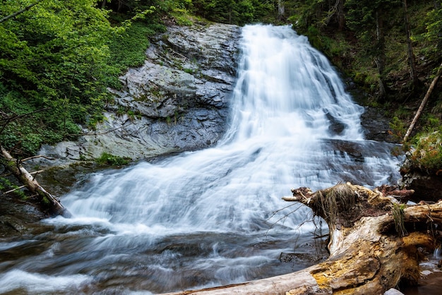 Water from stream runs among stones and runs under an log in a forest