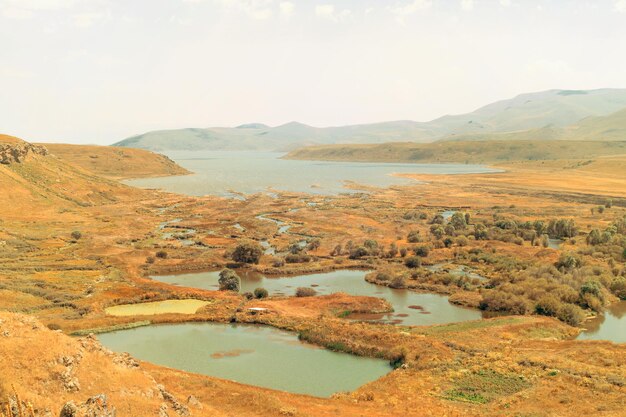 Water landscape with hills mountains and plantsToned