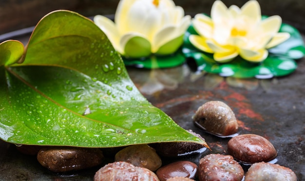 Water lilies and pebbles in water background