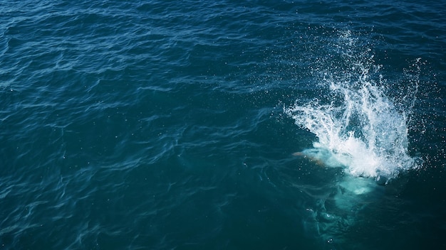 Water splash in ocean