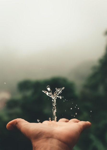 Water splash with a green background