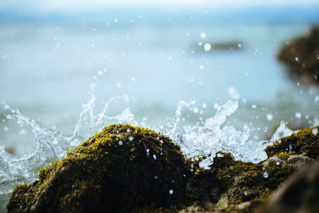 Water splashing on moss covered rock at shore