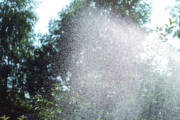 Water splashing out of water sprinkler Fresh summer background Waterdrops