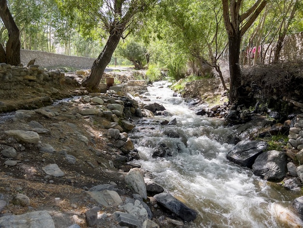 The water in a stream flows very fast