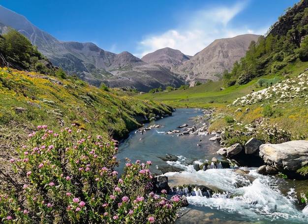 Water stream surrounded by mountains and flowers on a sunny day