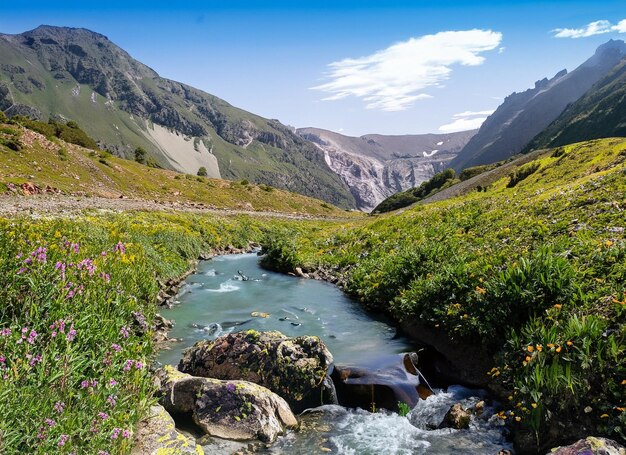 Water stream surrounded by mountains and flowers on a sunny day